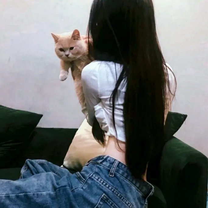 贵妇人